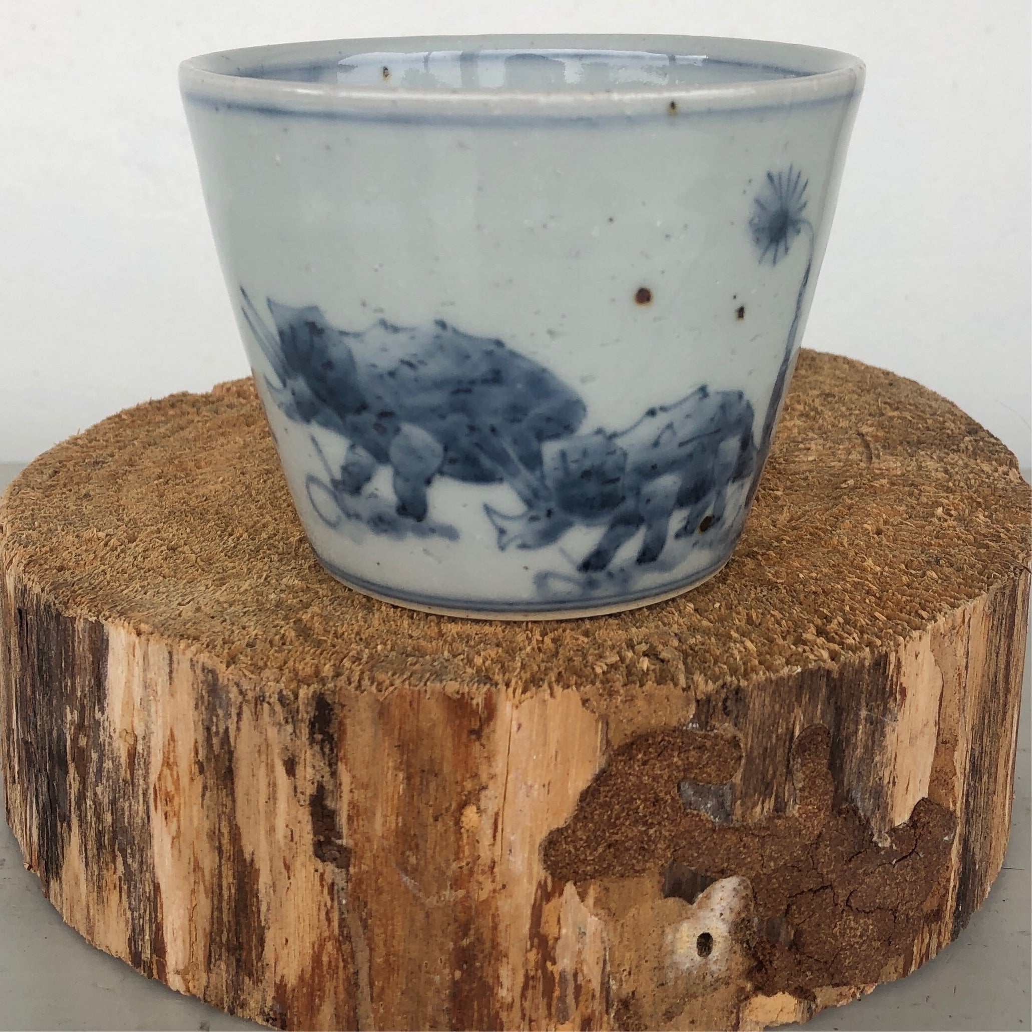 Dinosaur Series Soba cups by Studio Wani